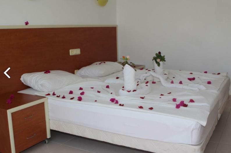 Hare Hotel 3*